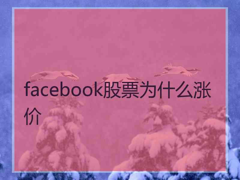 facebook股票为什么涨价