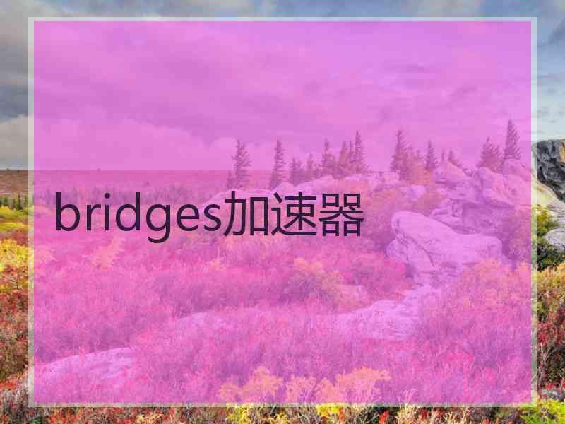 bridges加速器