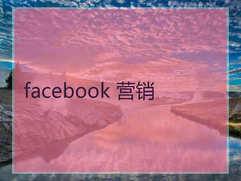 facebook 营销