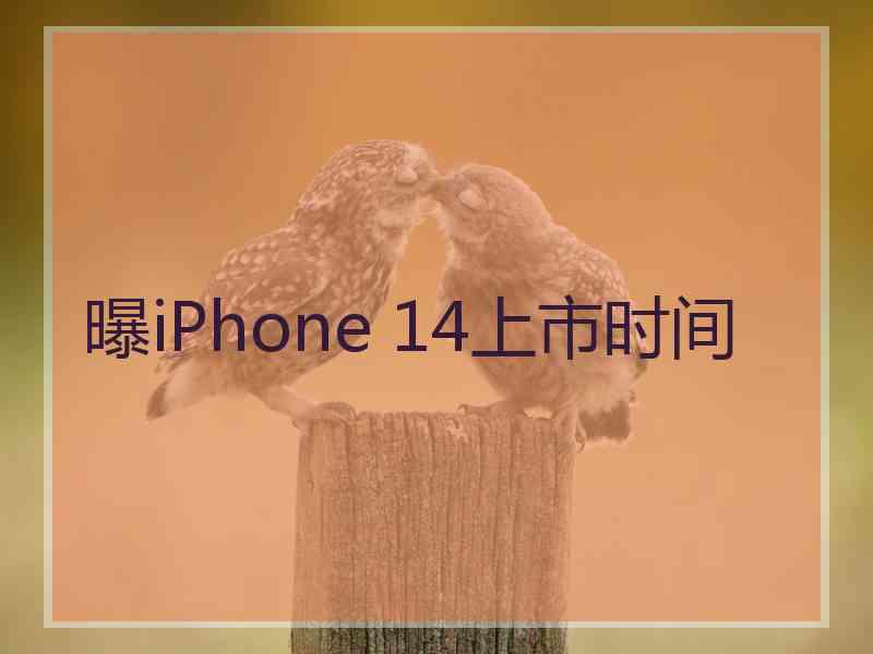 曝iPhone 14上市时间