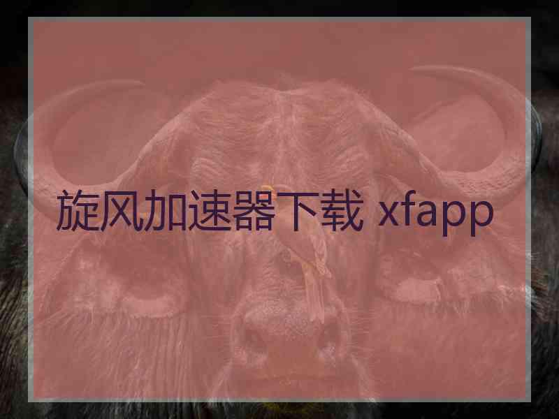 旋风加速器下载 xfapp