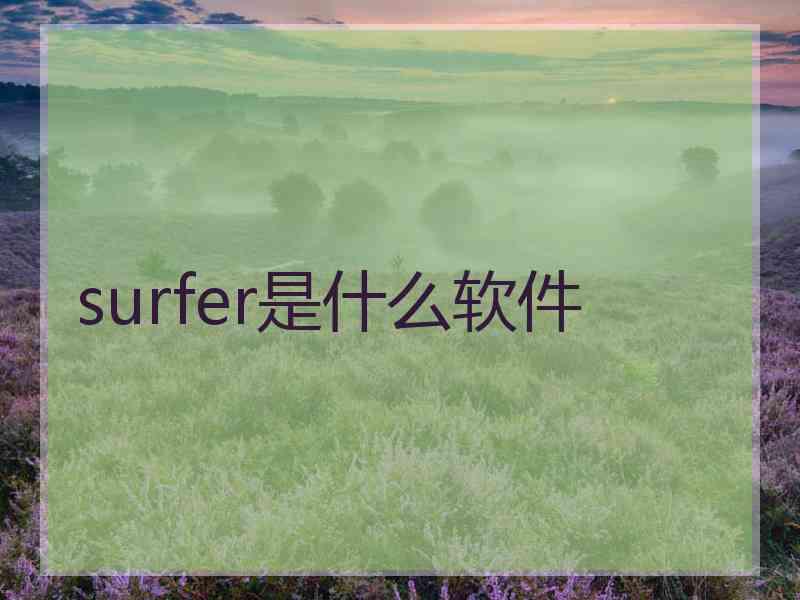 surfer是什么软件