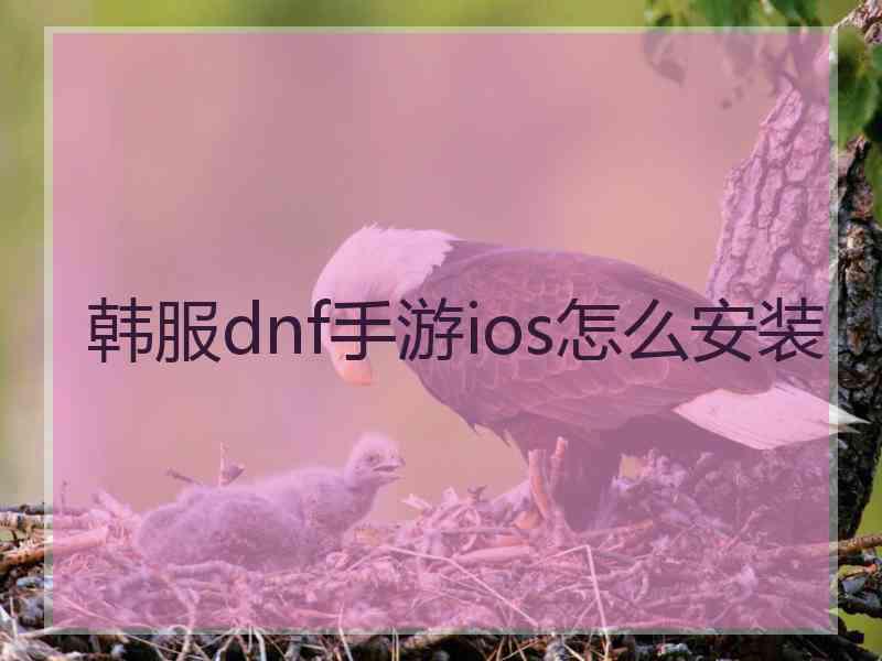 韩服dnf手游ios怎么安装