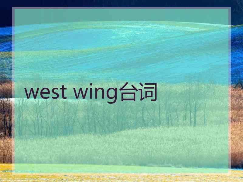 west wing台词