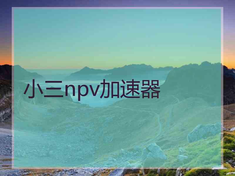 小三npv加速器