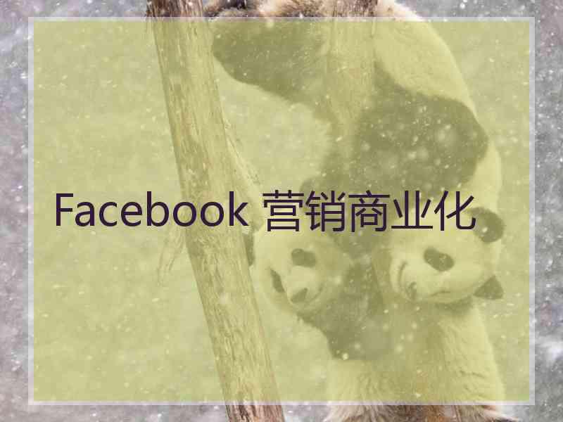 Facebook 营销商业化