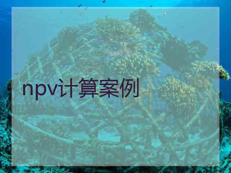 npv计算案例