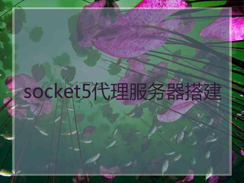 socket5代理服务器搭建