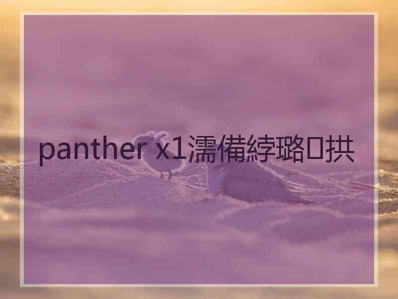 panther x1濡備綍璐拱