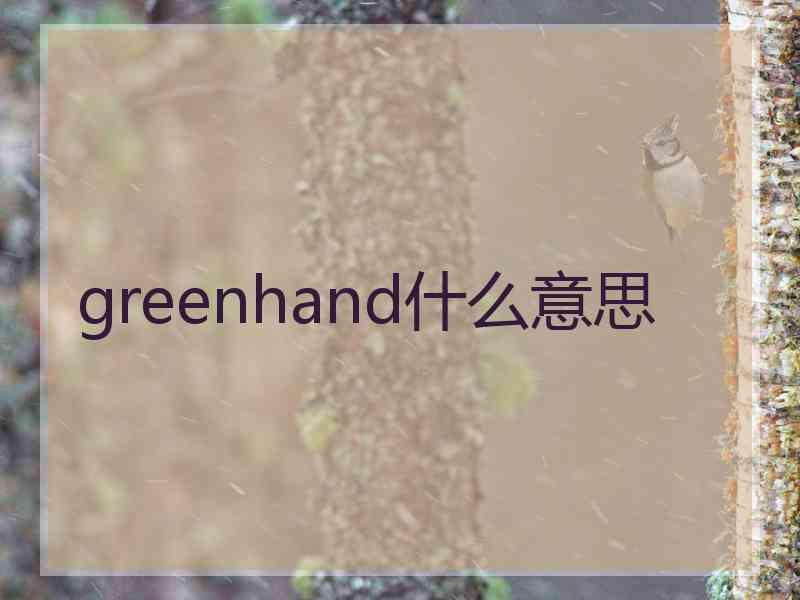 greenhand什么意思