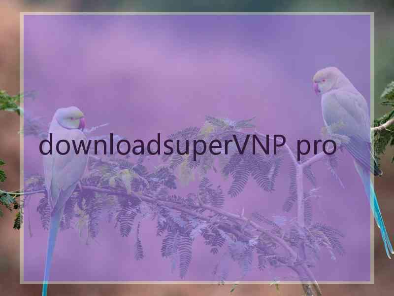 downloadsuperVNP pro