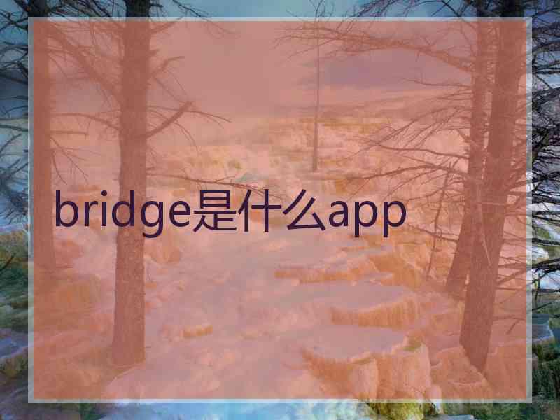 bridge是什么app