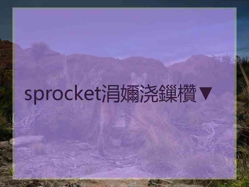 sprocket涓嬭浇鏁欑▼