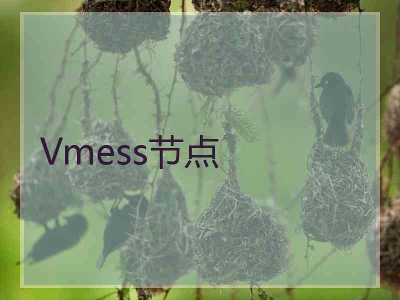 Vmess节点