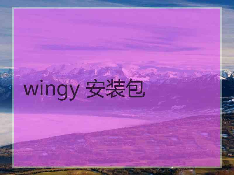 wingy 安装包