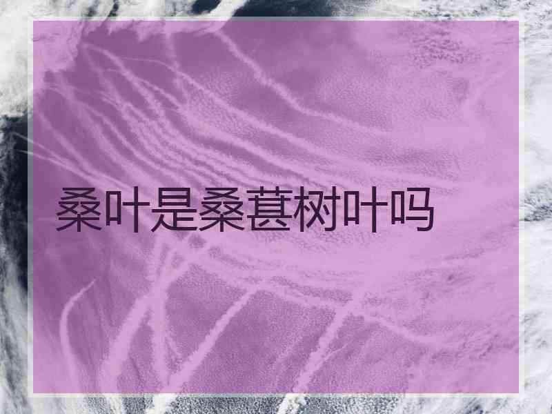 桑叶是桑葚树叶吗