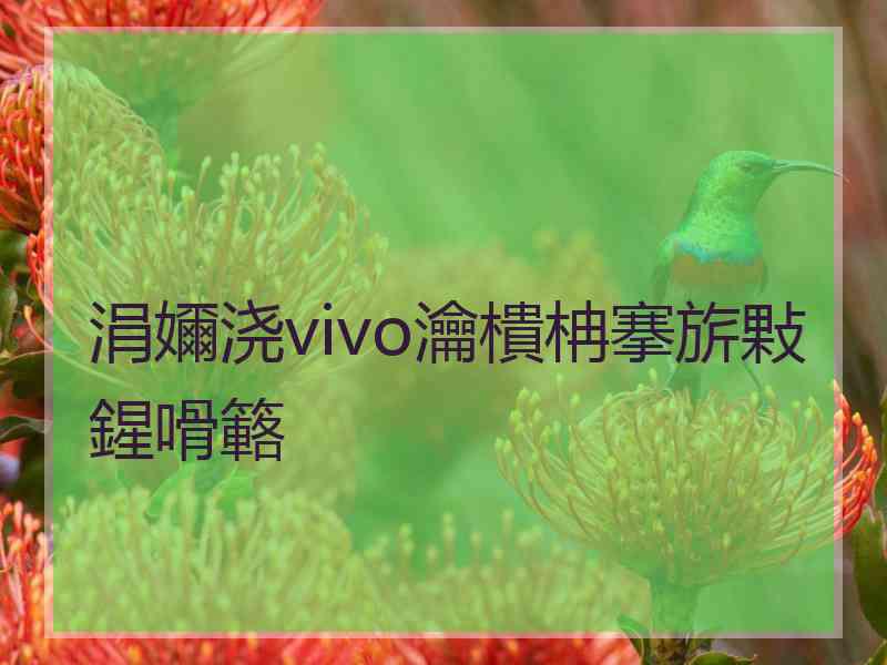 涓嬭浇vivo瀹樻柟搴旂敤鍟嗗簵