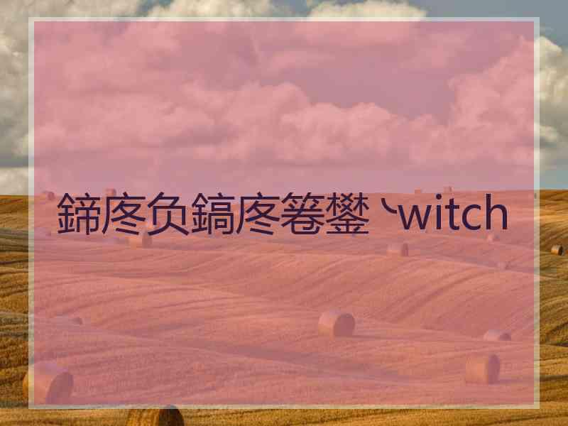 鍗庝负鎬庝箞鐢╰witch