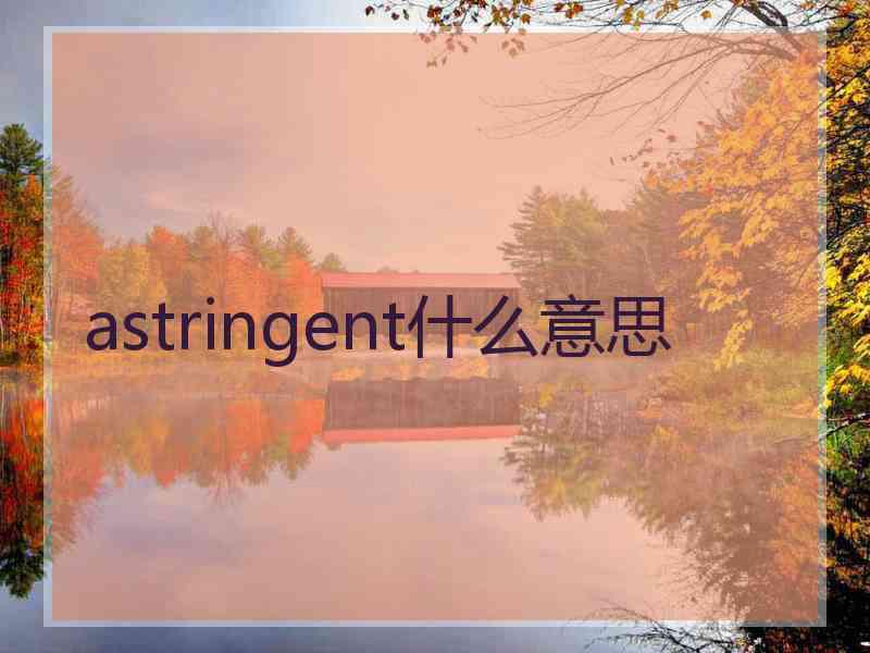 astringent什么意思