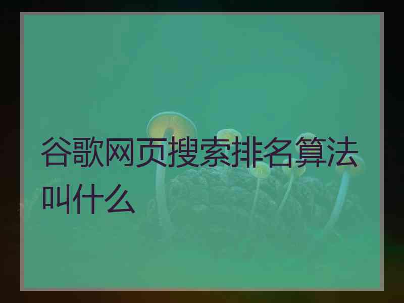 谷歌网页搜索排名算法叫什么