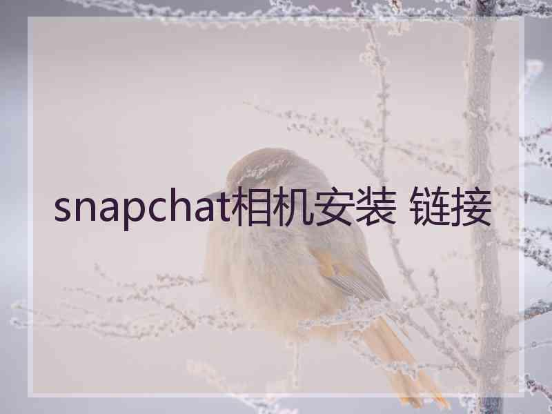 snapchat相机安装 链接