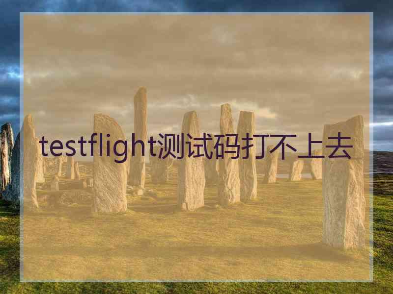 testflight测试码打不上去