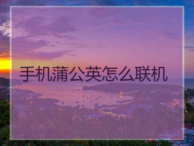 手机蒲公英怎么联机