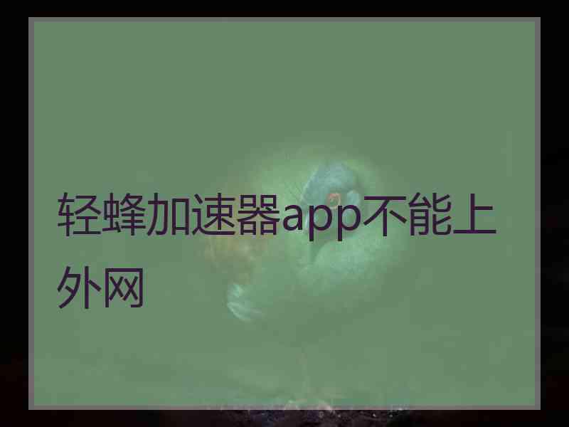 轻蜂加速器app不能上外网