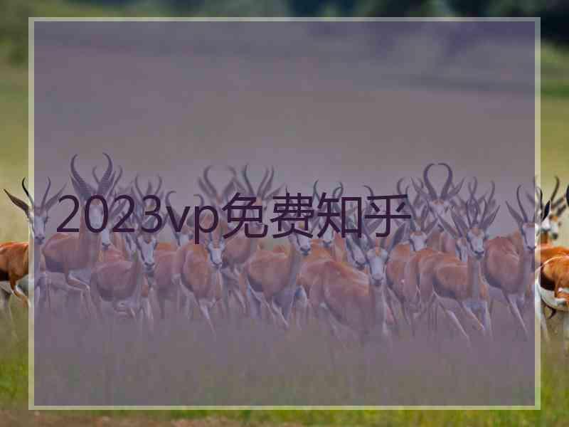 2023vp免费知乎