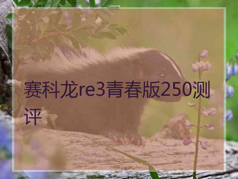 赛科龙re3青春版250测评