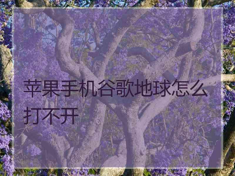 苹果手机谷歌地球怎么打不开