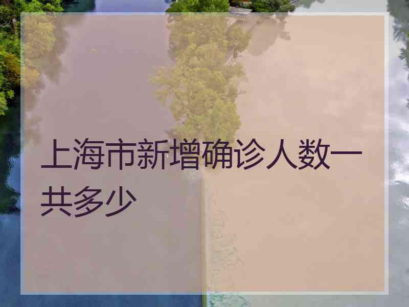 上海市新增确诊人数一共多少