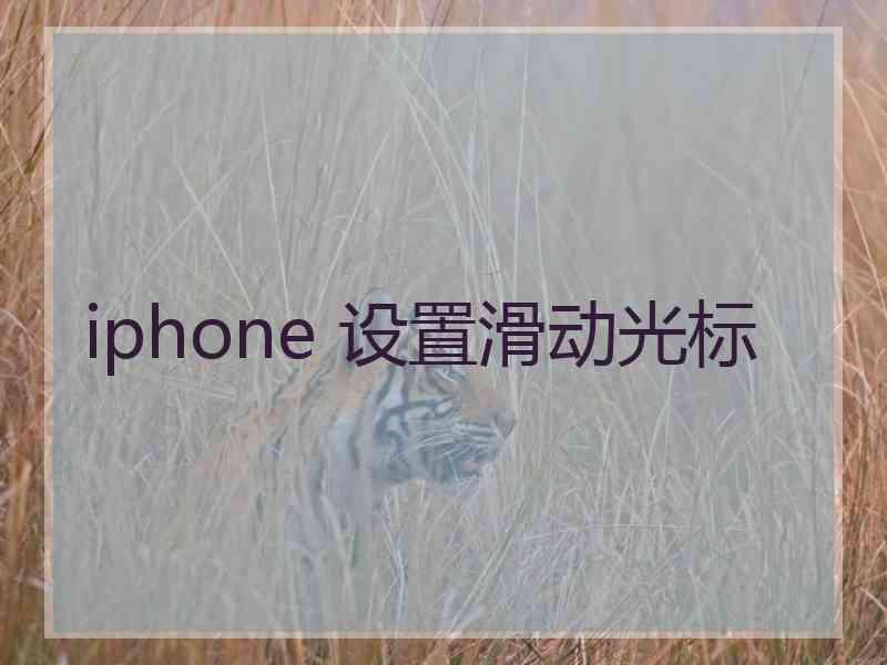 iphone 设置滑动光标