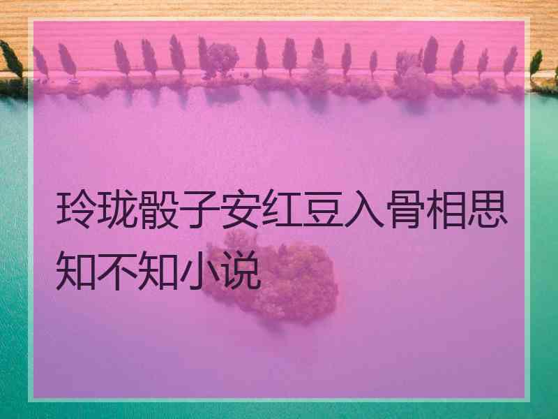 玲珑骰子安红豆入骨相思知不知小说