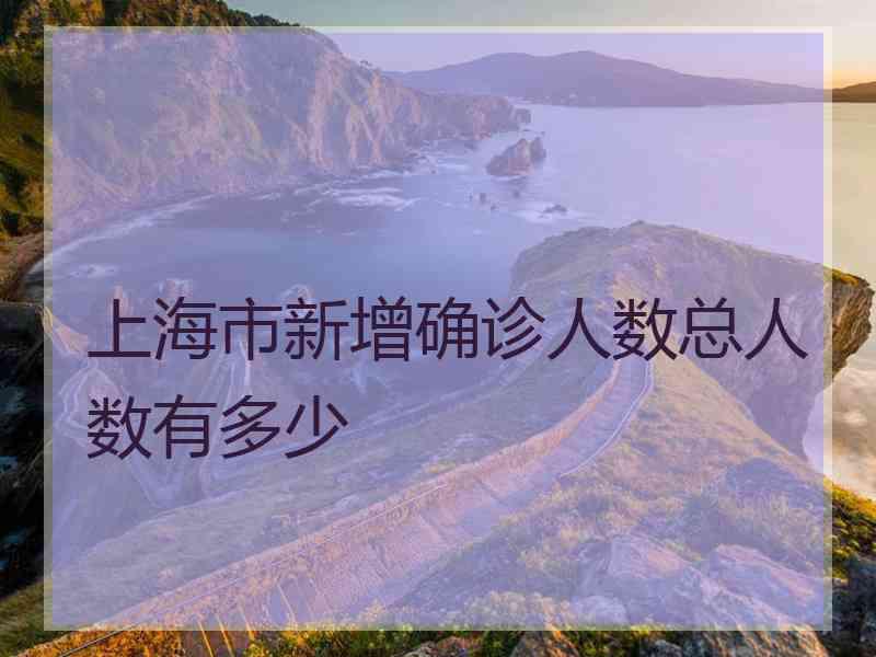 上海市新增确诊人数总人数有多少