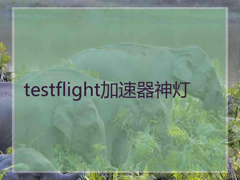 testflight加速器神灯