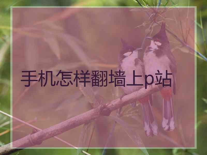 手机怎样翻墙上p站