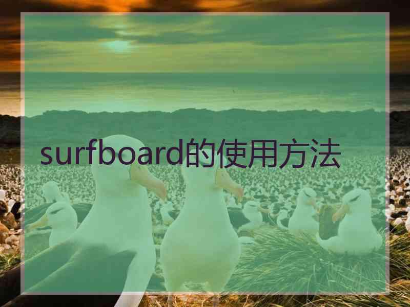 surfboard的使用方法