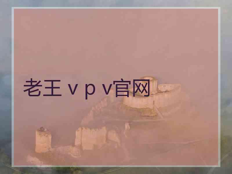 老王 v p v官网