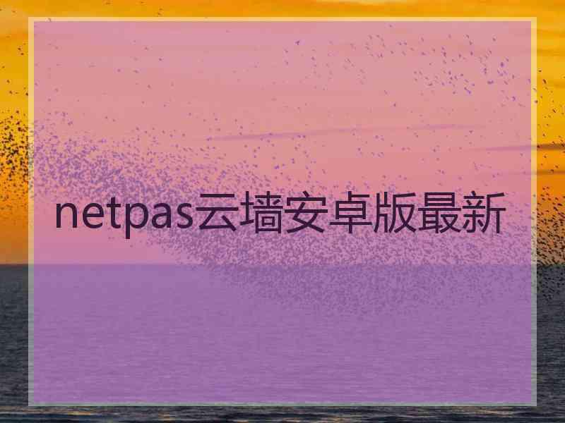 netpas云墙安卓版最新