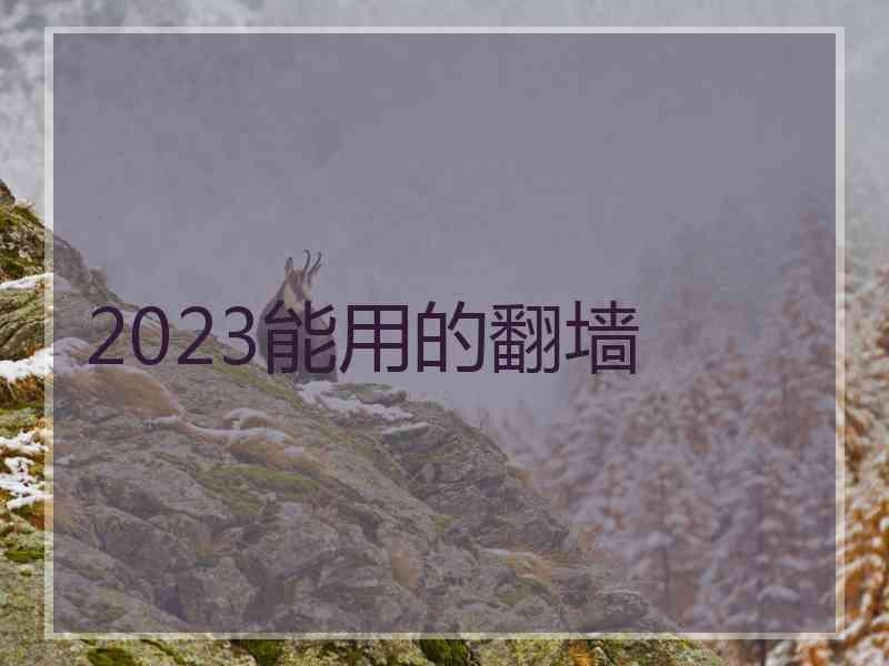 2023能用的翻墙