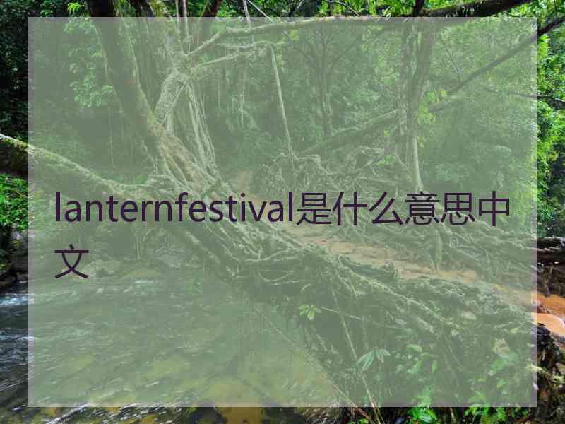 lanternfestival是什么意思中文