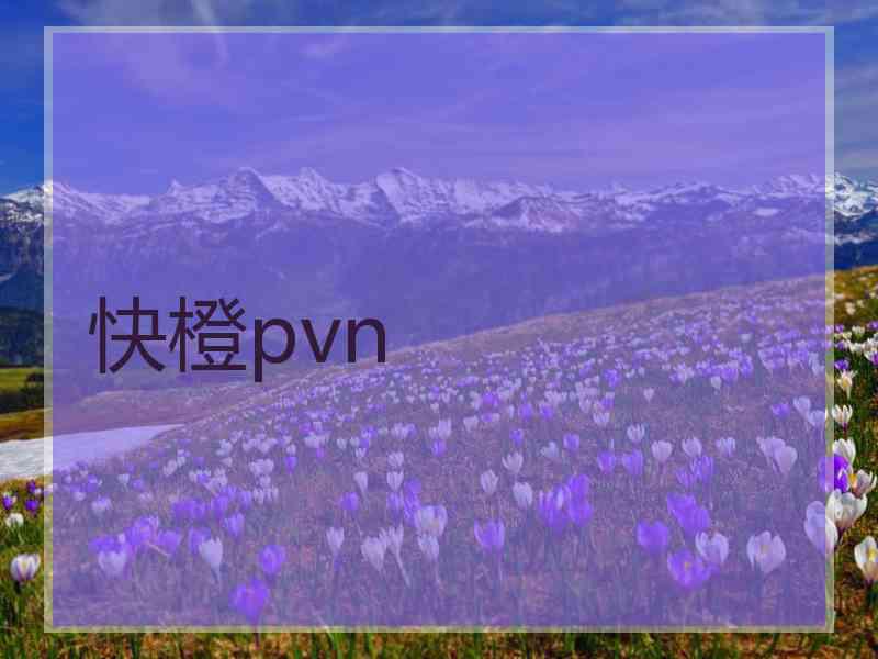 快橙pvn