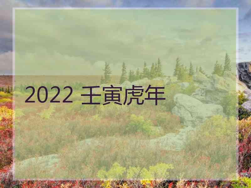 2022 壬寅虎年