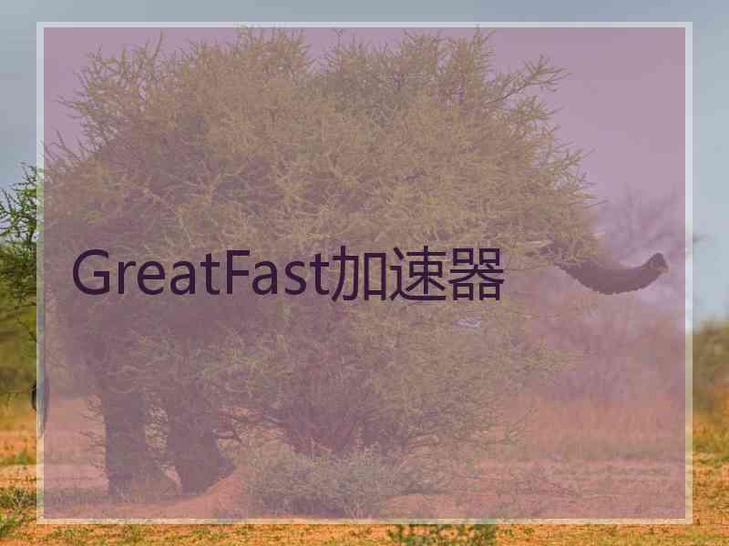 GreatFast加速器