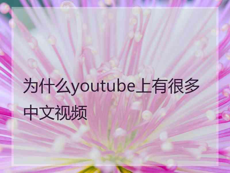 为什么youtube上有很多中文视频