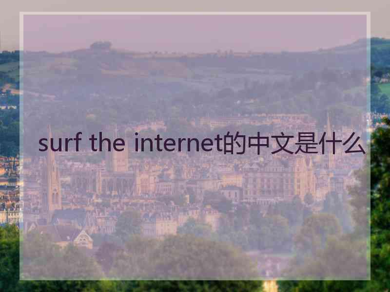 surf the internet的中文是什么