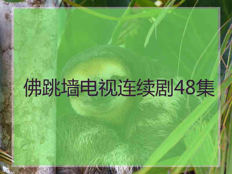 佛跳墙电视连续剧48集