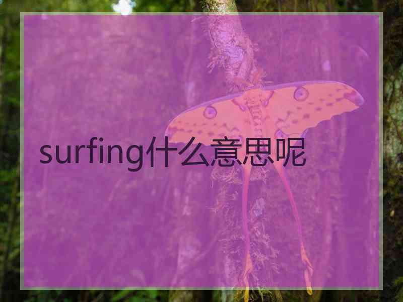 surfing什么意思呢