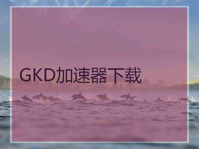 GKD加速器下载